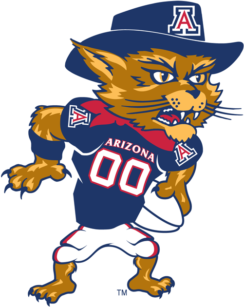 Arizona Wildcats 2003-Pres Mascot Logo t shirts DIY iron ons v4